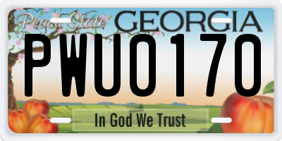 GA license plate PWU0170