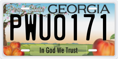 GA license plate PWU0171