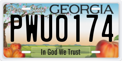 GA license plate PWU0174