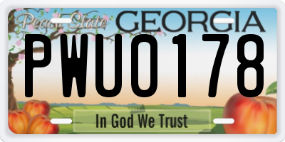 GA license plate PWU0178