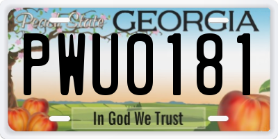 GA license plate PWU0181