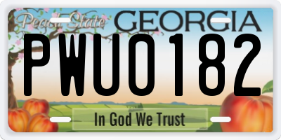 GA license plate PWU0182
