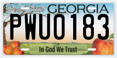 GA license plate PWU0183
