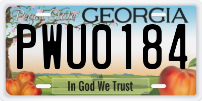 GA license plate PWU0184
