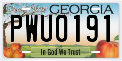 GA license plate PWU0191