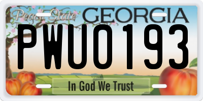 GA license plate PWU0193