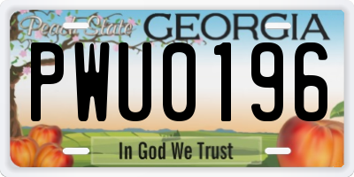 GA license plate PWU0196