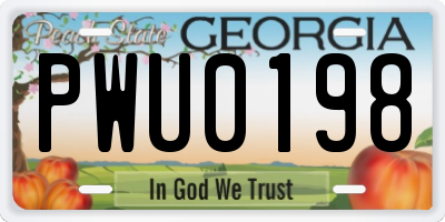 GA license plate PWU0198