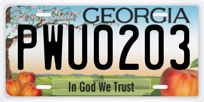 GA license plate PWU0203