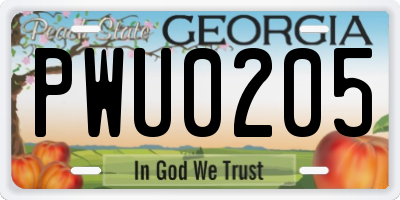 GA license plate PWU0205