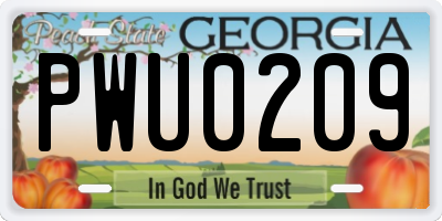 GA license plate PWU0209