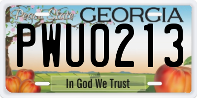 GA license plate PWU0213
