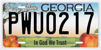 GA license plate PWU0217