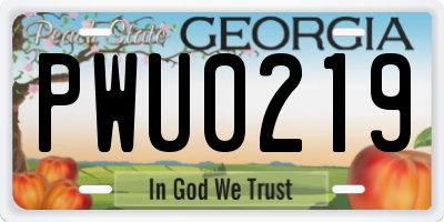 GA license plate PWU0219