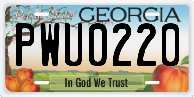 GA license plate PWU0220