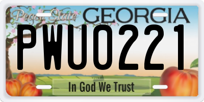 GA license plate PWU0221