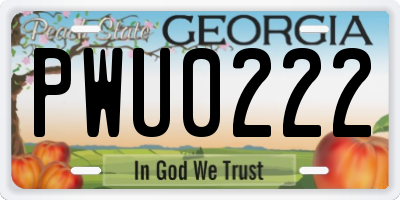 GA license plate PWU0222