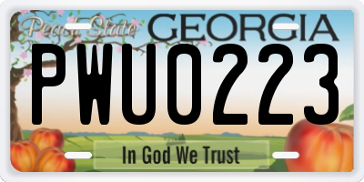 GA license plate PWU0223