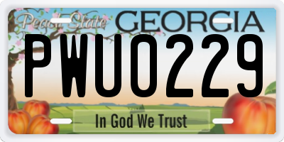 GA license plate PWU0229