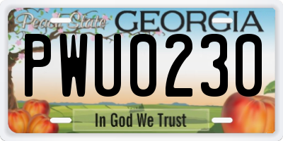 GA license plate PWU0230