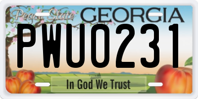 GA license plate PWU0231