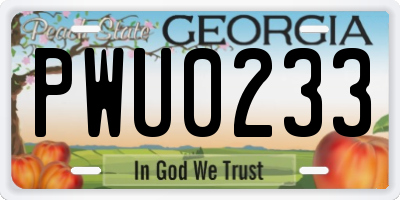 GA license plate PWU0233