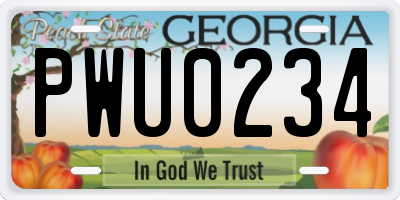 GA license plate PWU0234