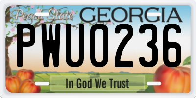 GA license plate PWU0236