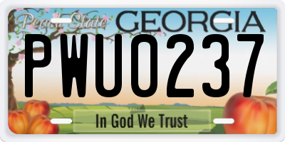GA license plate PWU0237