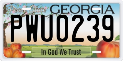 GA license plate PWU0239