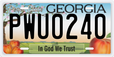 GA license plate PWU0240