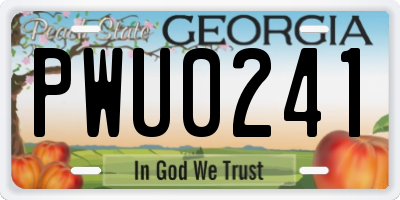 GA license plate PWU0241