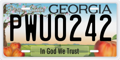 GA license plate PWU0242