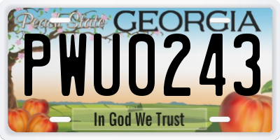 GA license plate PWU0243