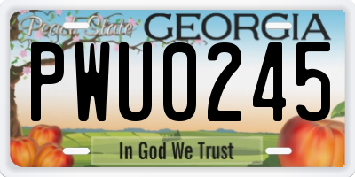 GA license plate PWU0245
