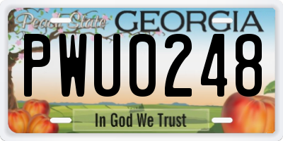 GA license plate PWU0248