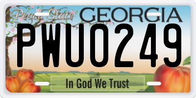 GA license plate PWU0249