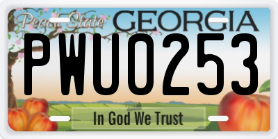 GA license plate PWU0253