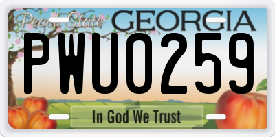 GA license plate PWU0259