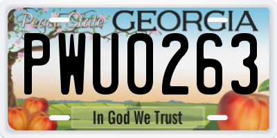 GA license plate PWU0263