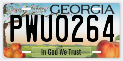 GA license plate PWU0264
