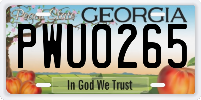 GA license plate PWU0265