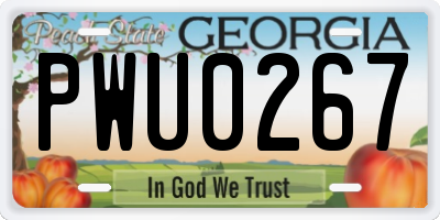 GA license plate PWU0267