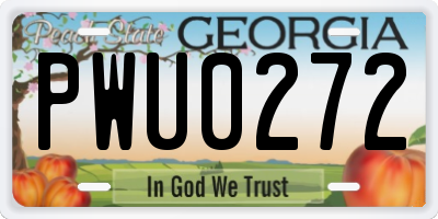 GA license plate PWU0272