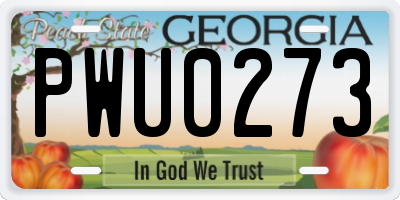 GA license plate PWU0273
