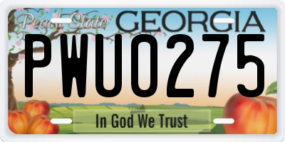 GA license plate PWU0275