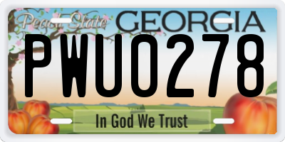 GA license plate PWU0278