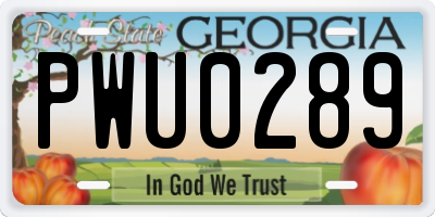 GA license plate PWU0289