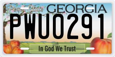GA license plate PWU0291