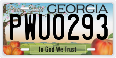 GA license plate PWU0293